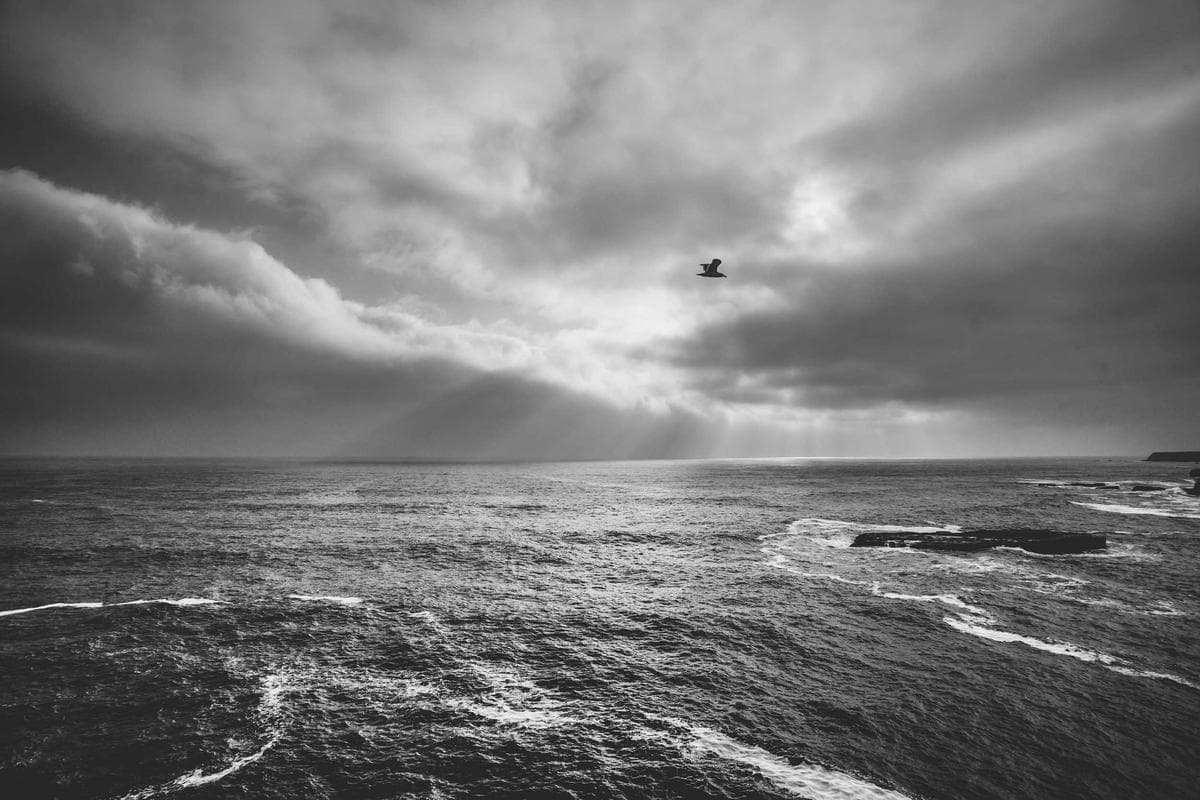 A dramatic dusk sky over the ocean, with birds in flight silhouetted against the fading light.