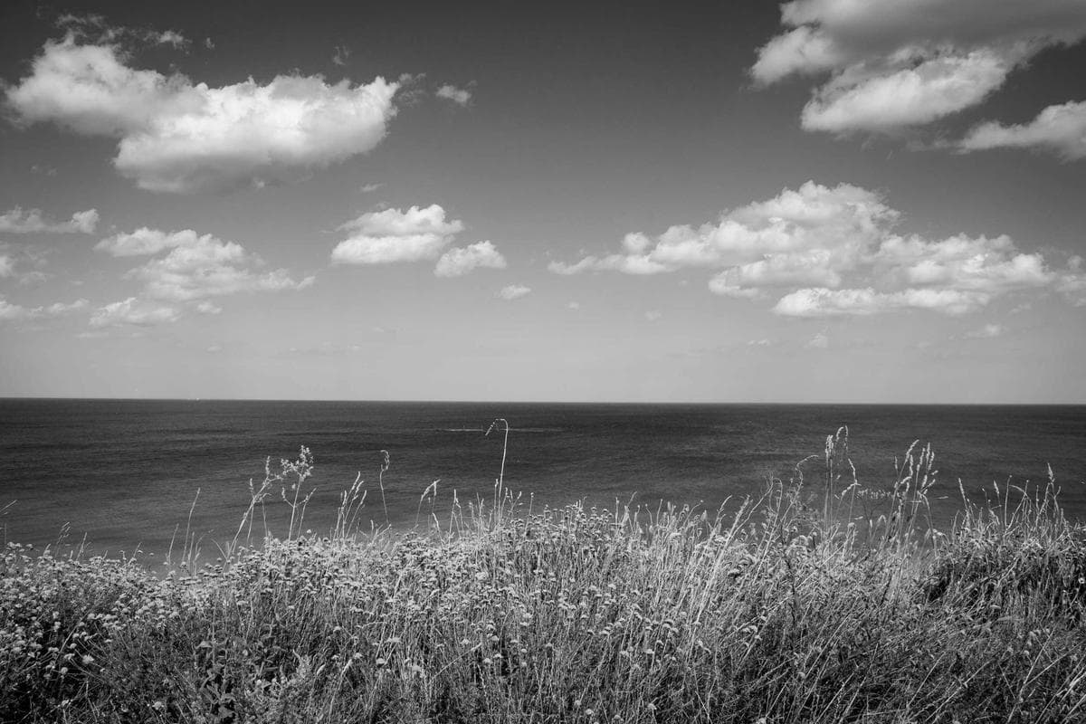 A windswept grassy field beneath a wide, cloud-streaked sky.